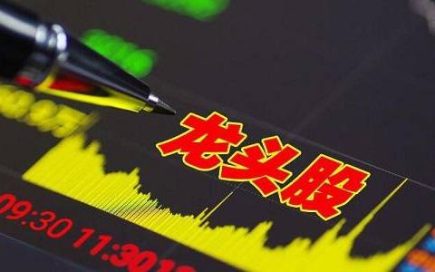 生猪期货在线直播